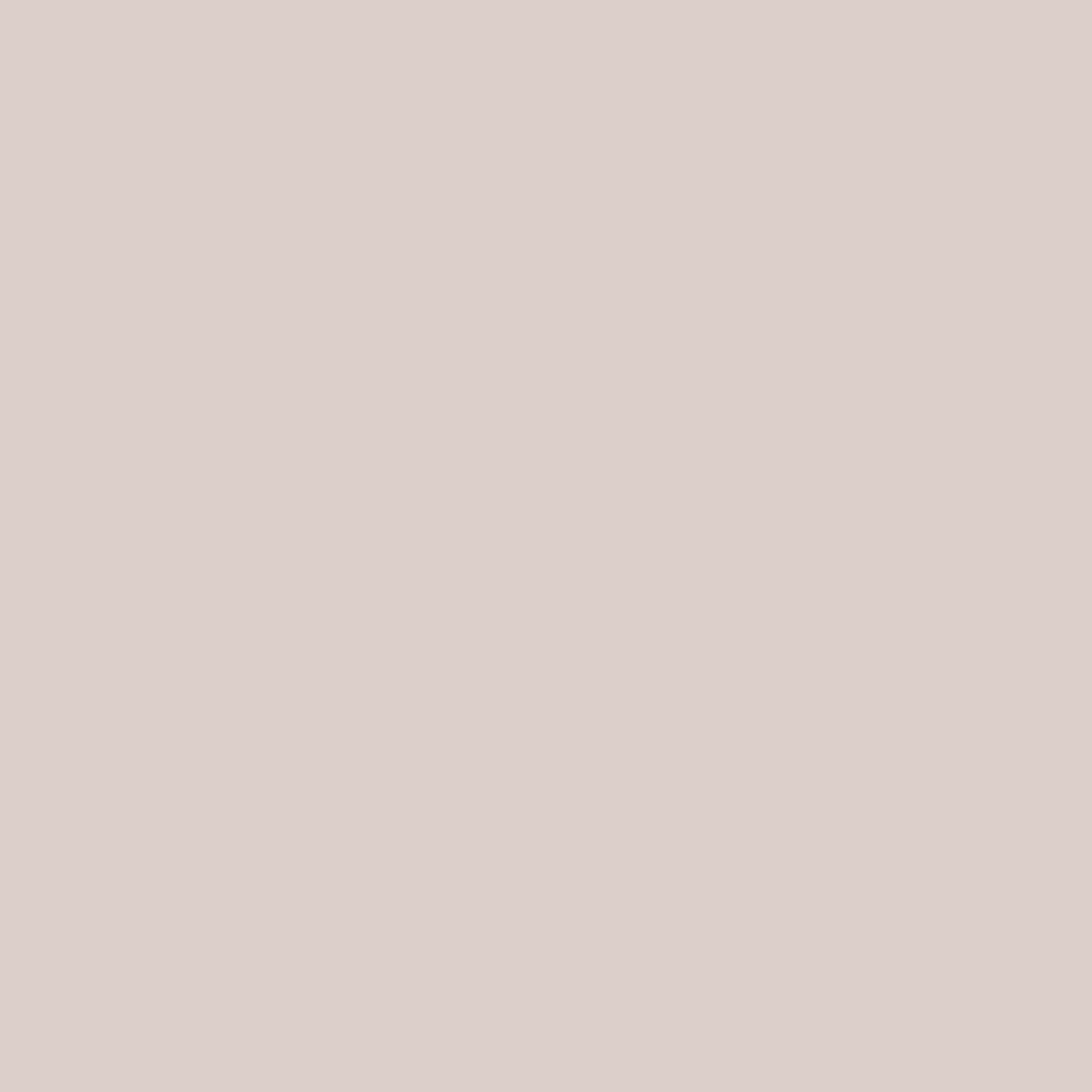 Background-Color-ACH-EuropeanNetwork-Brown